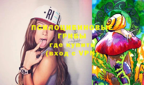 крисы Майский