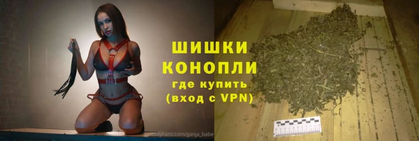 шишки Медногорск