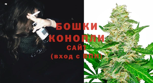 шишки Медногорск