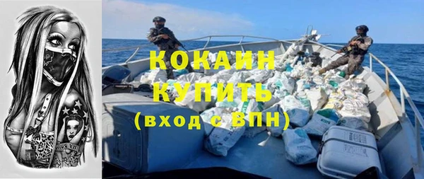 шишки Медногорск