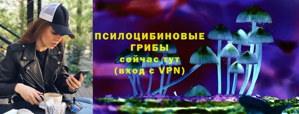скорость Медвежьегорск
