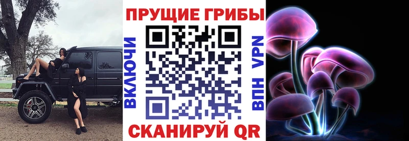 Купить  Великие Луки  Галлюциногенные грибы Magic Shrooms 